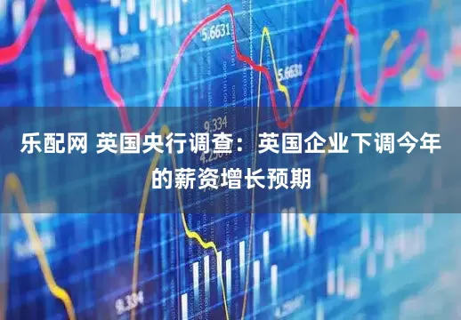 乐配网 英国央行调查：英国企业下调今年的薪资增长预期