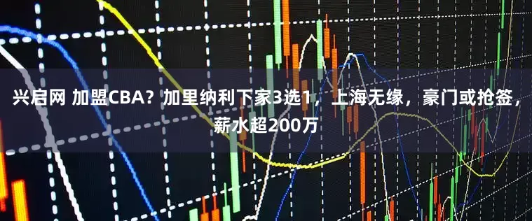 兴启网 加盟CBA？加里纳利下家3选1，上海无缘，豪门或抢签，薪水超200万