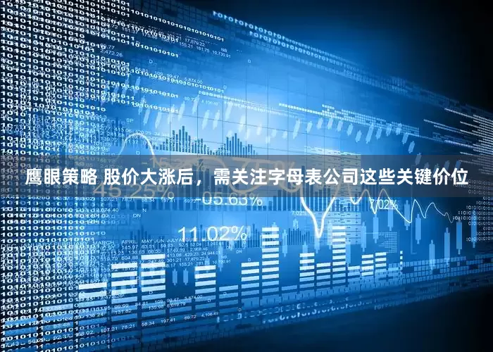 鹰眼策略 股价大涨后，需关注字母表公司这些关键价位