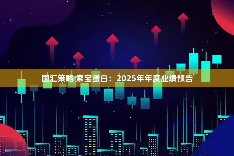 国汇策略 索宝蛋白：2025年年度业绩预告